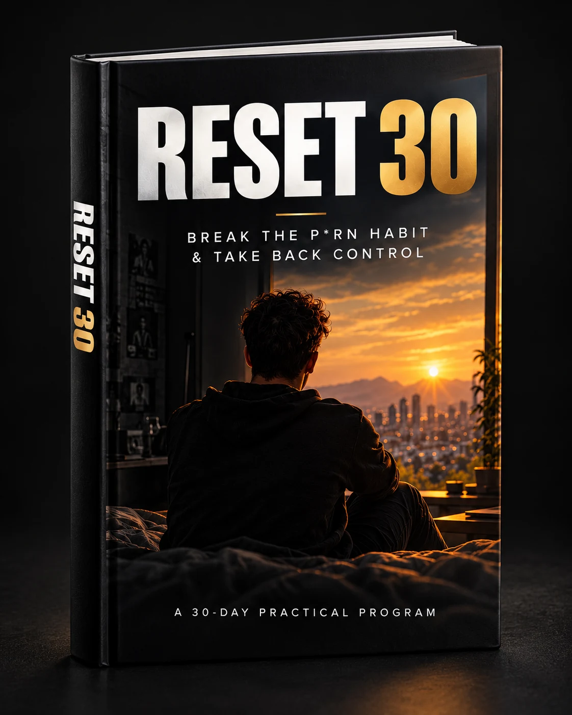 RESET 30 workbook shown as a black and gold book, with a man looking toward a sunset city skyline
